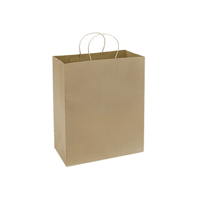 BOLSA DE PAPEL 33X40X15CM 12U ECOFAMY 