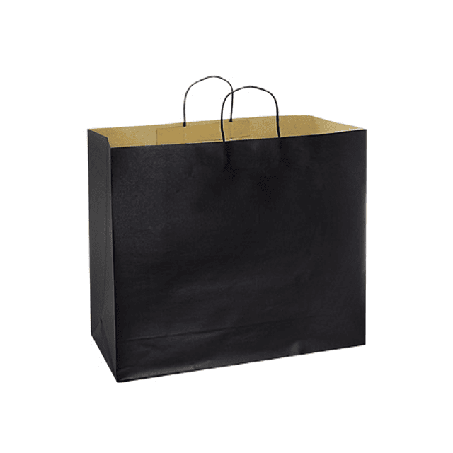 BOLSA DE PAPEL 45X45X17CM 12U ECOFAMY 