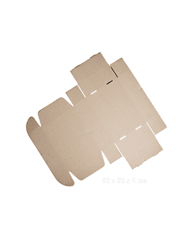 Caja autoarmable 32x22x9 cm. ECOFAMY - NATURAL