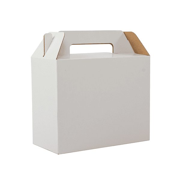 Caja autoarmable con asas 25x20x12 cm. ECOFAMY 3