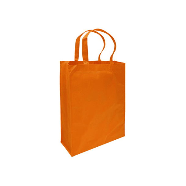 BOLSA REUTILIZABLE CONFERENCE TNT 30X38X8.5CM 4