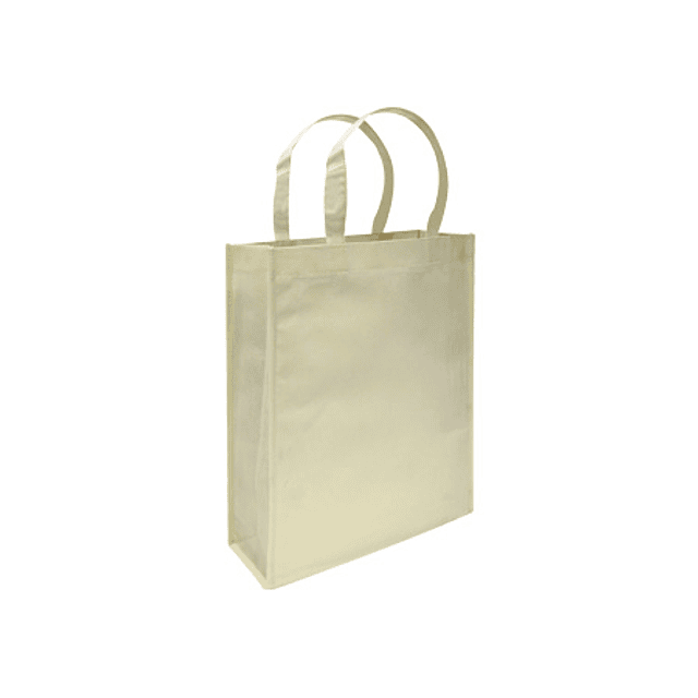 BOLSA REUTILIZABLE CONFERENCE TNT 30X38X8.5CM