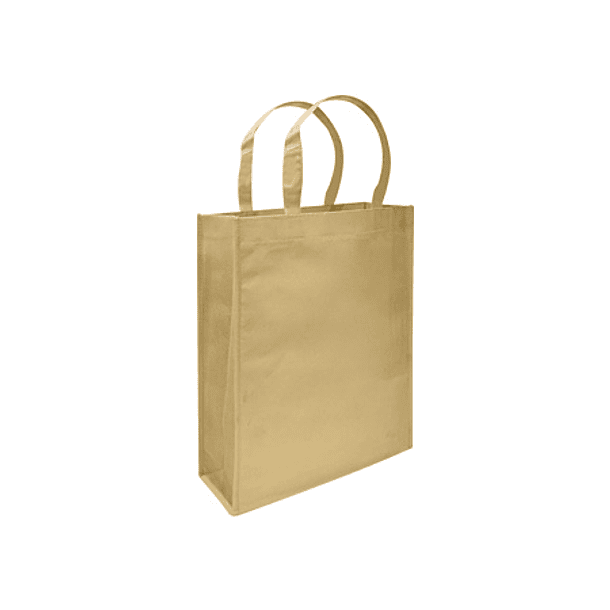 BOLSA REUTILIZABLE CONFERENCE TNT 30X38X8.5CM 13