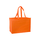 BOLSA REUTILIZABLE MONSTER TNT 52.5X37X14CM 4