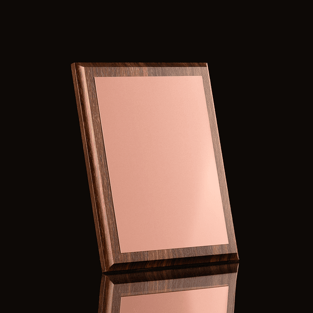 Placa Galvano encobrizado «STUDIO 2