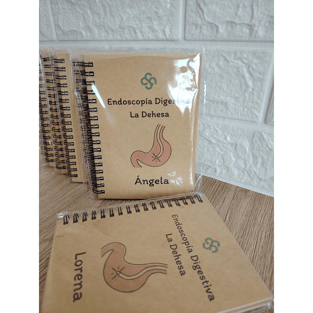 Cuaderno Ecológico 13