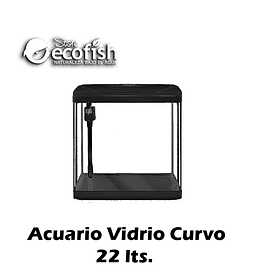 Acuario Vidrio Curvado 22 Lts + Luz Led + Filtro