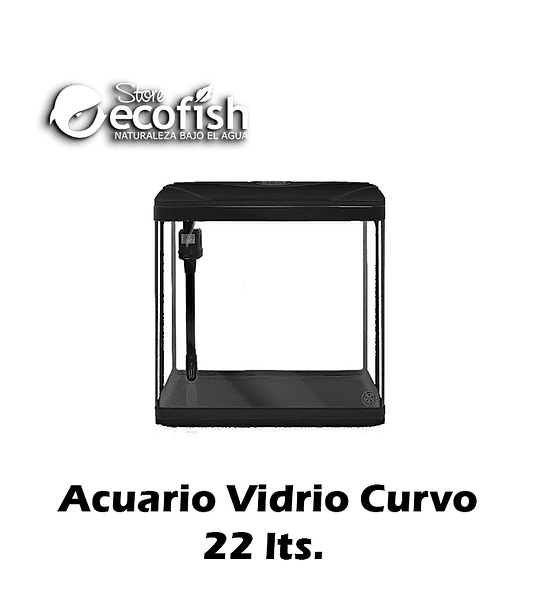 Acuario Vidrio Curvado 22 Lts + Luz Led + Filtro