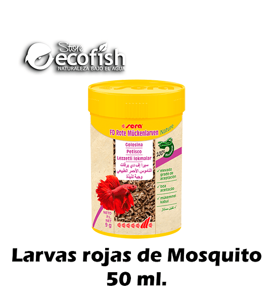 Fd Larva Roja De Mosquito Nature 