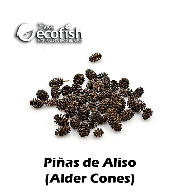 Piñas de Aliso