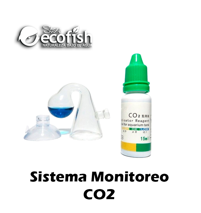 Test Monitoreo co2 constante