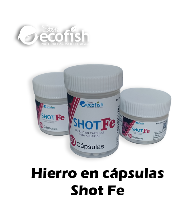 Hierro en cápsulas Shot Fe