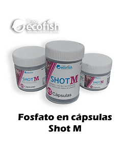 Shot M (Fe+Micros)