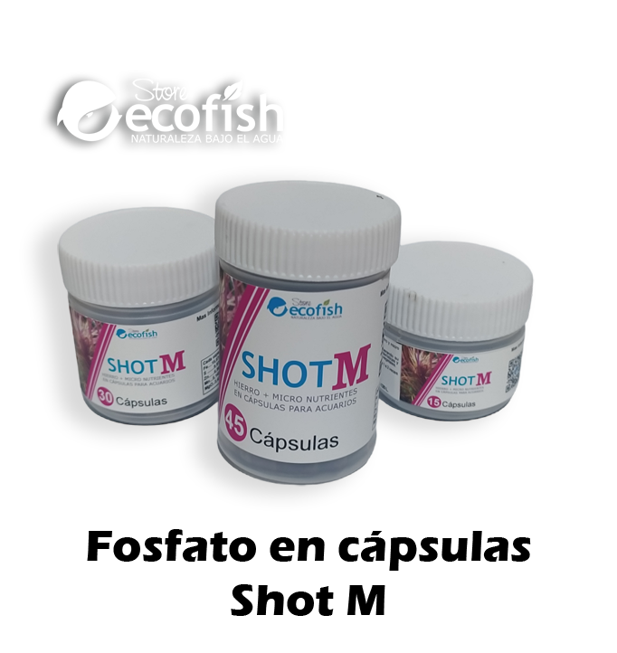 Shot M (Fe+Micros)