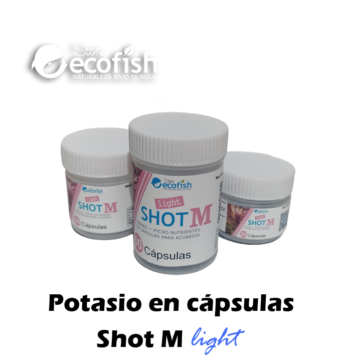 Shot M (Fe+Micros) light