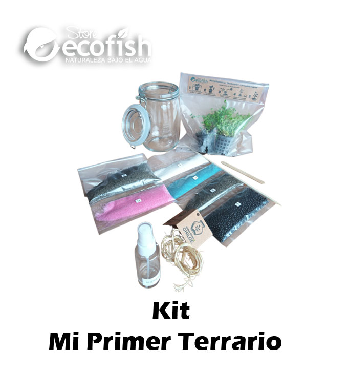 Mi Primer Terrario