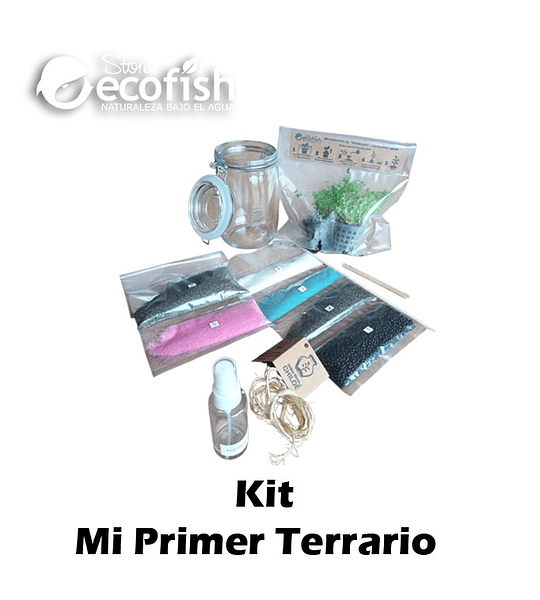 Mi Primer Terrario