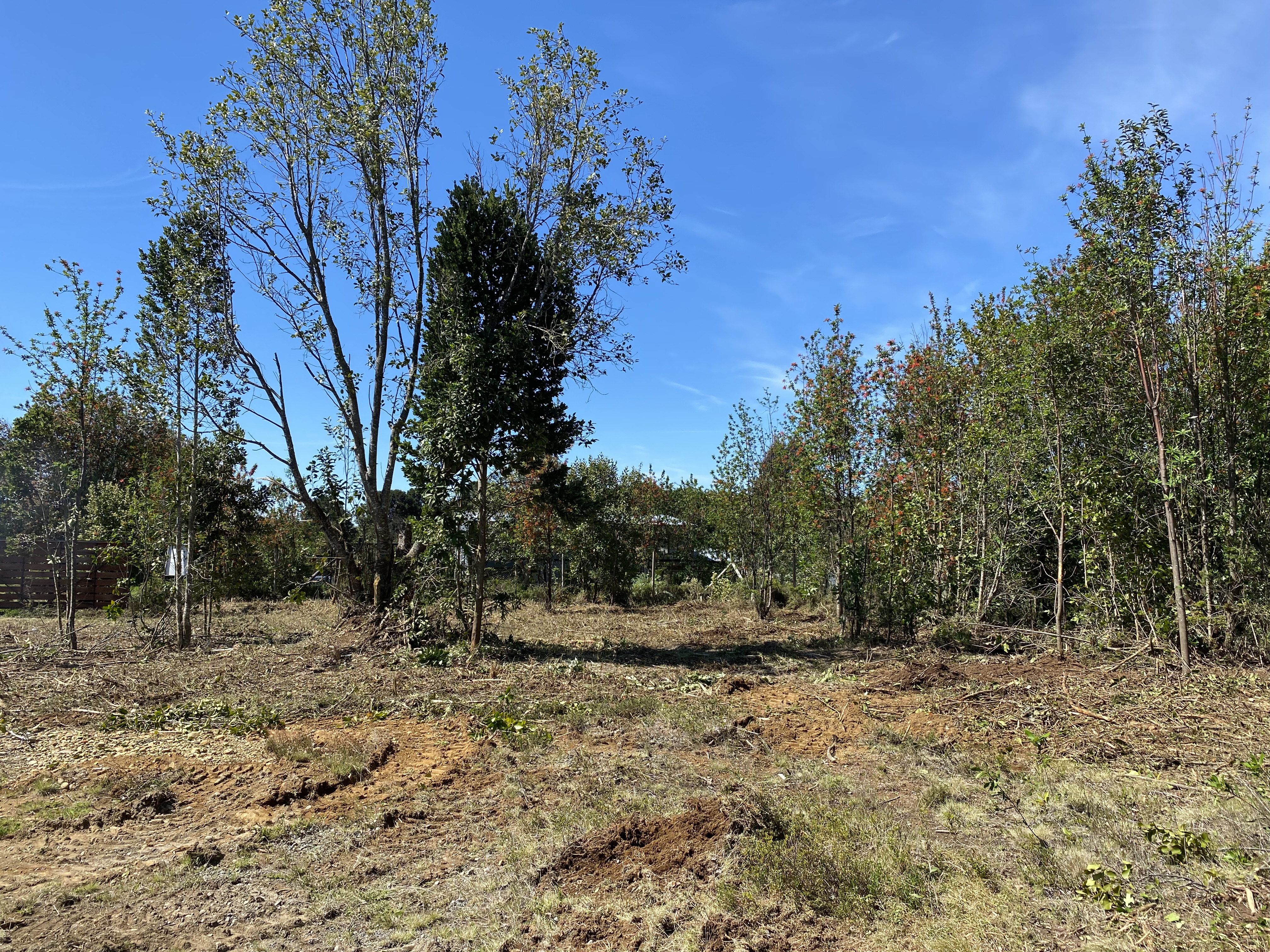 Cortafuegos: La Primera Línea de Defensa Contra los Incendios Forestales