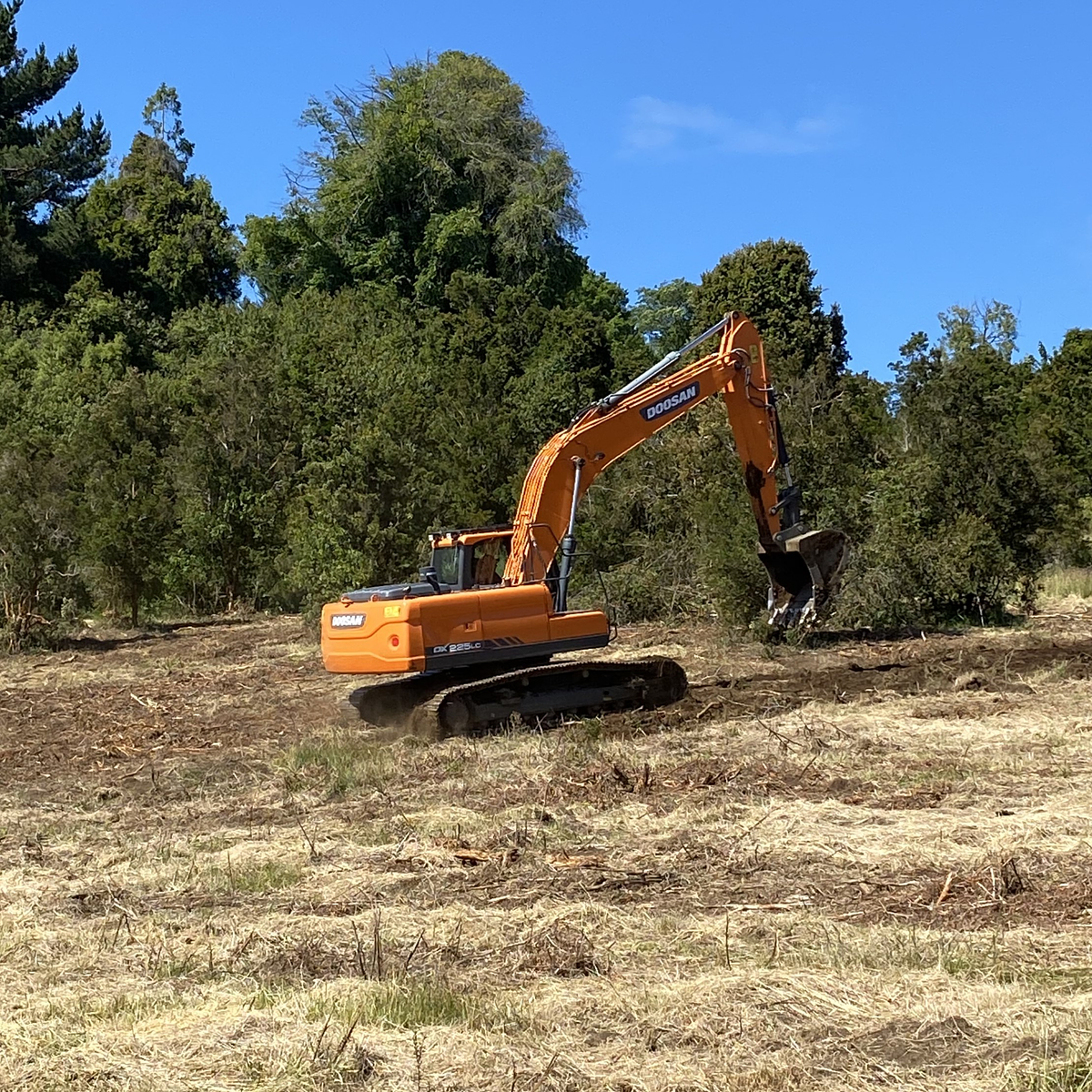 Movimiento de Tierra 4