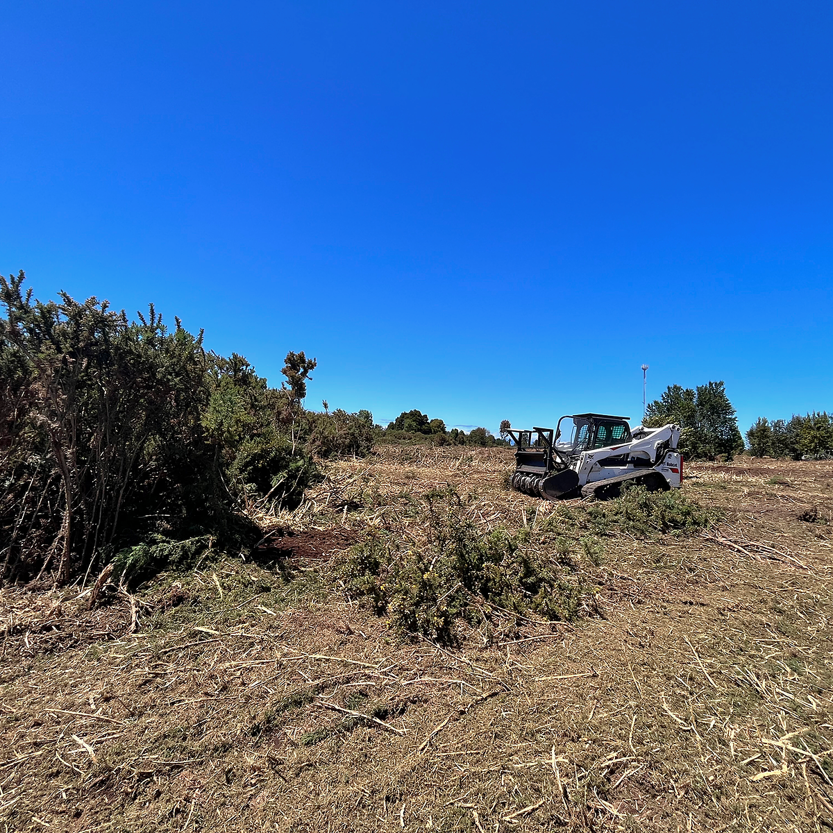 Limpiezas de Terrenos y/o Roce 3