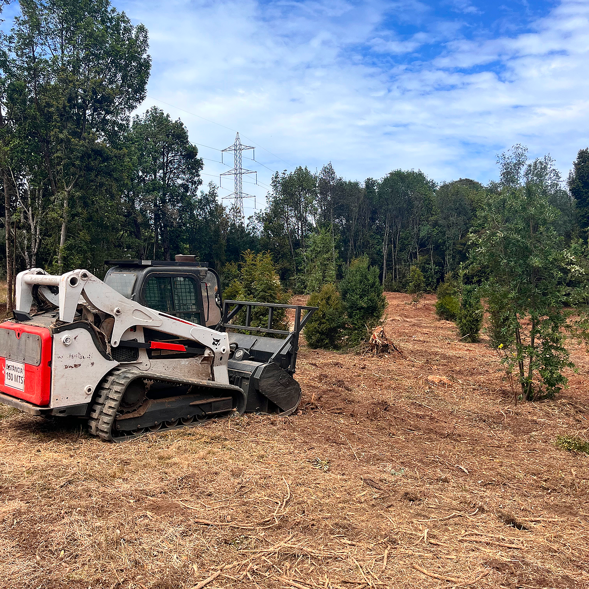 Limpiezas de Terrenos y/o Roce 1