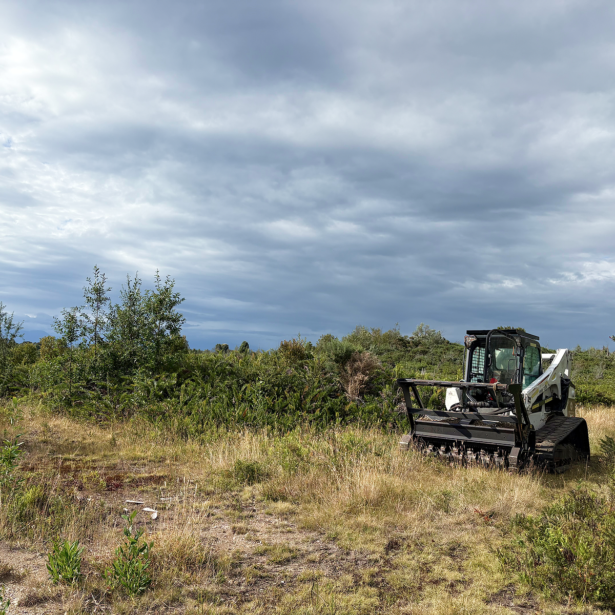 Limpiezas de Terrenos y/o Roce 2