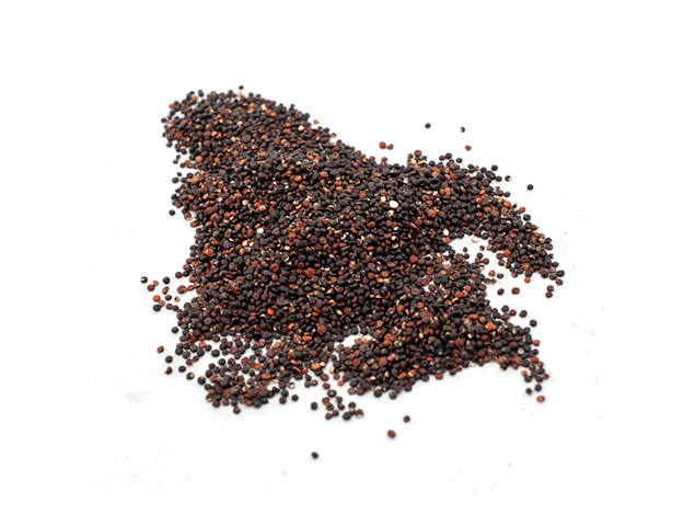 Quinoa Negra