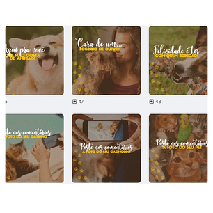 Pack canva Petshop