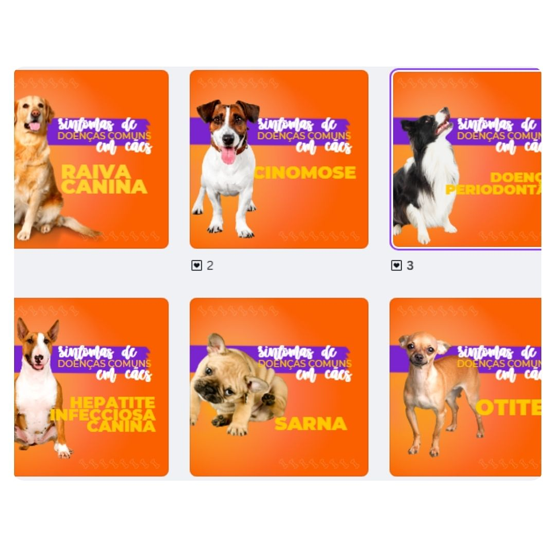 Pack canva Petshop 3