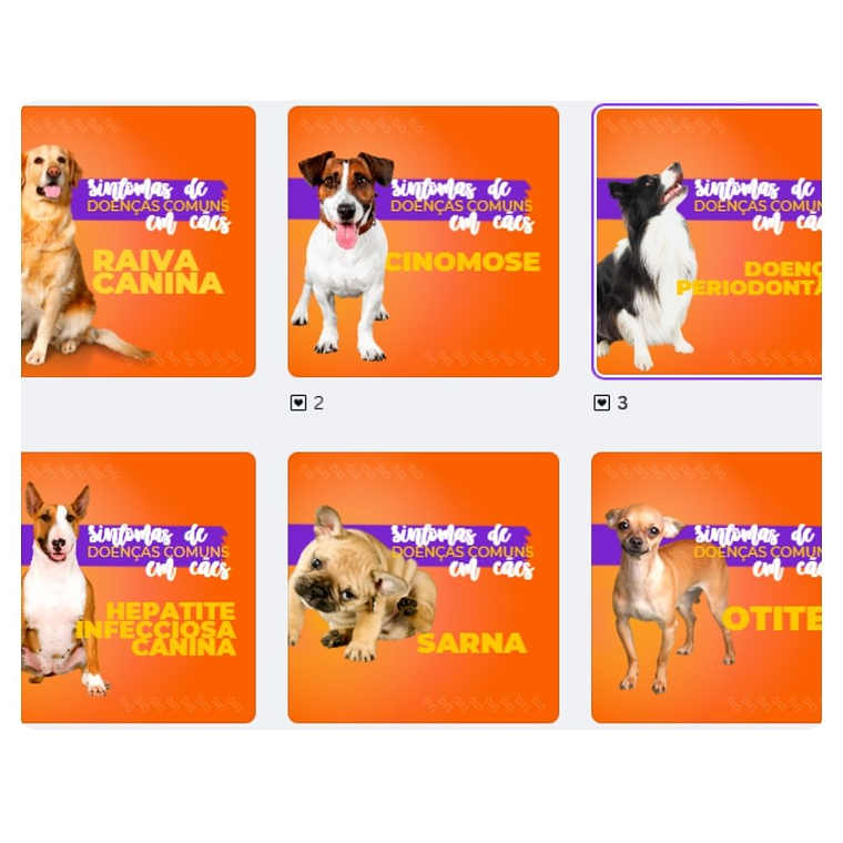 Pack canva Petshop 3