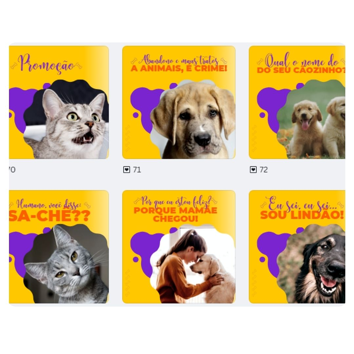 Pack canva Petshop 4