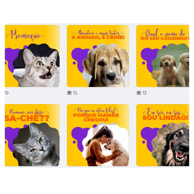 Pack canva Petshop 4