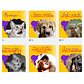 Pack canva Petshop - Thumbnail 4