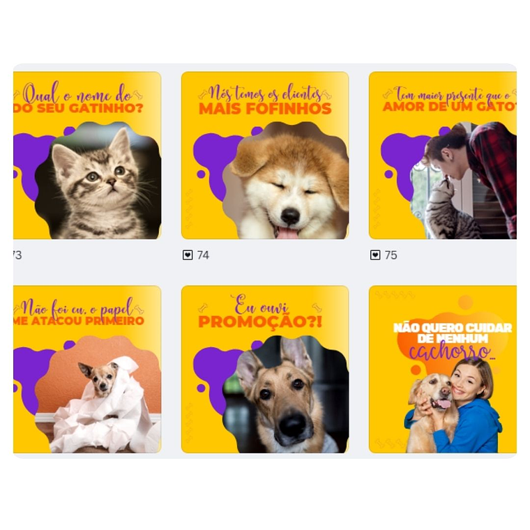Pack canva Petshop 5