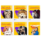 Pack canva Petshop - Thumbnail 5