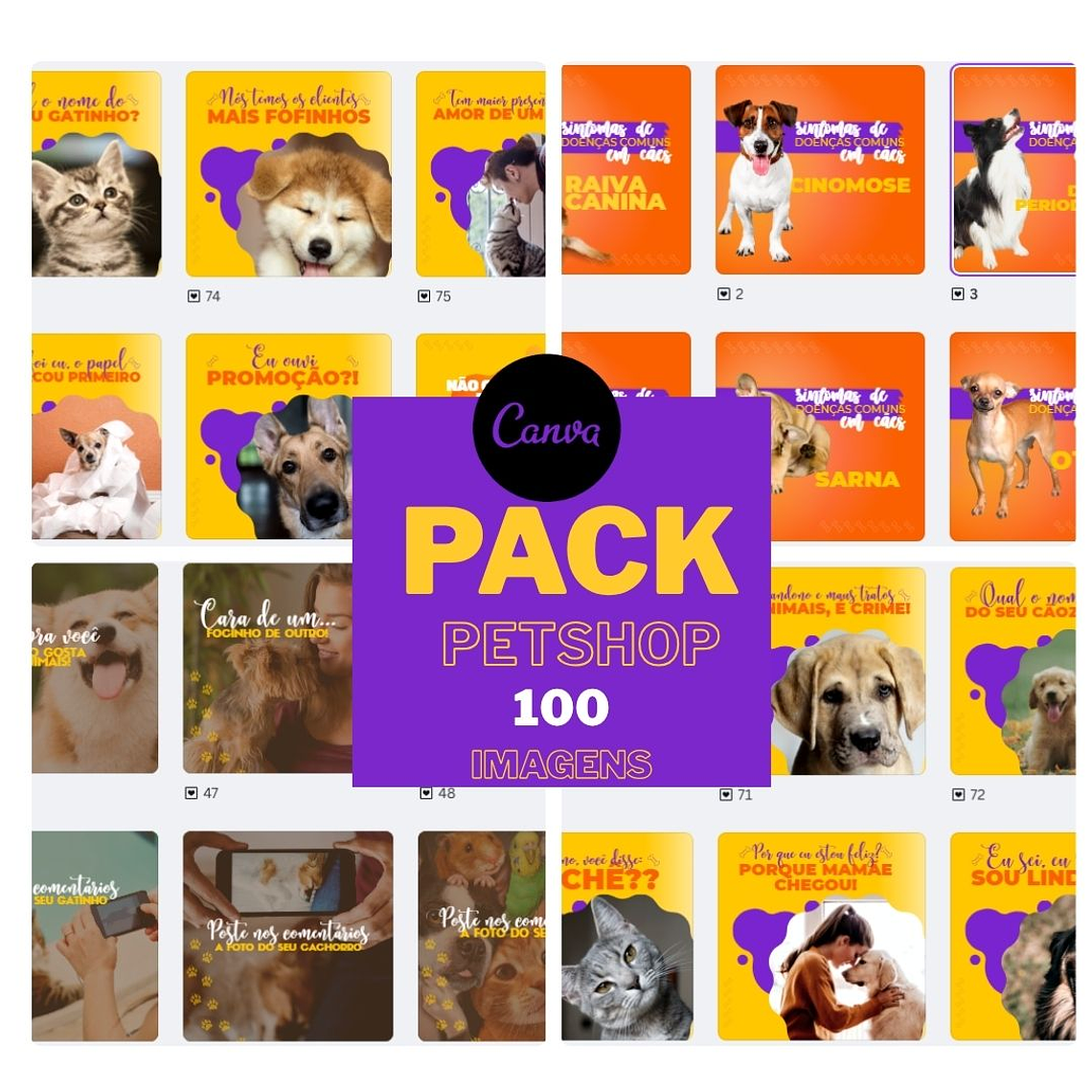 Pack canva Petshop 1