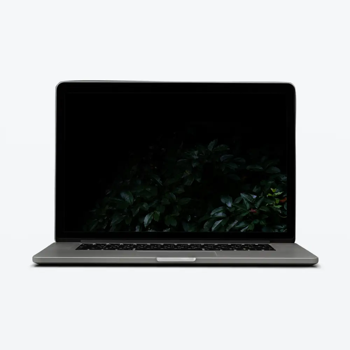Demo - Laptop 1
