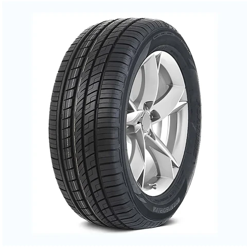 225/55R18 98W FSR-303 FORTUNE