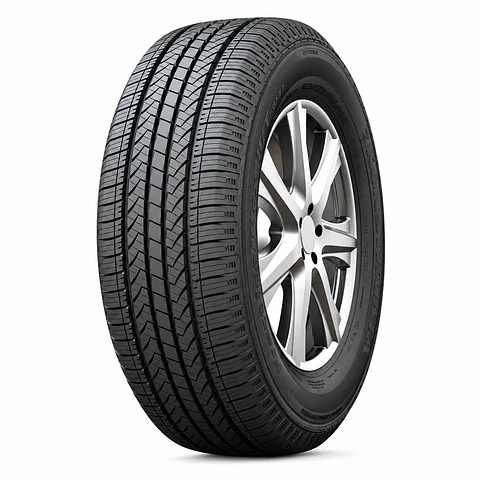 215/50R17XL 95H RS21 HABILEAD