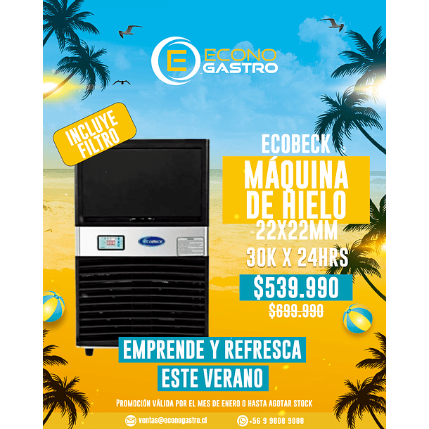Máquina de Hielo 30 Kilos/24Hrs. Ecobeck