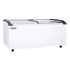 Congelador Comercial 520L con Tapa de Vidrio Curvo 2