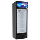 Visicooler 300 Lts Bozzo 2