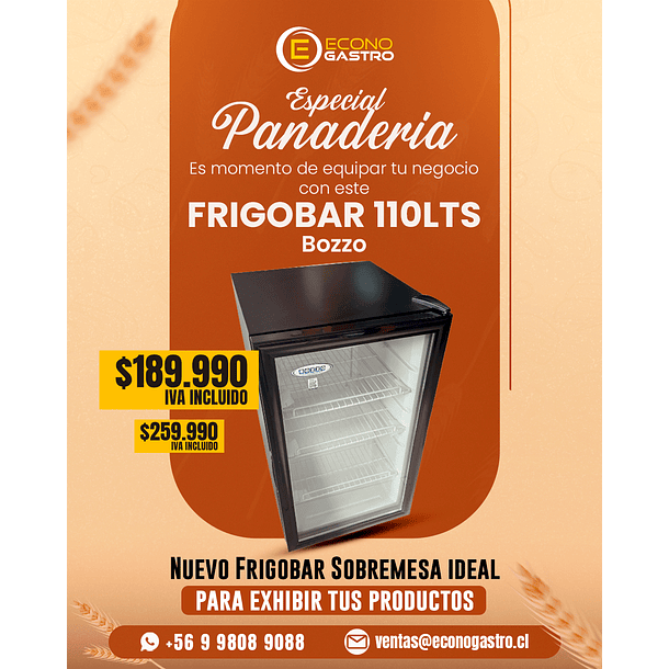 Visicooler Sobremesa 110 Lts Bozzo