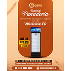 Visicooler 260 Litros Bozzo 1