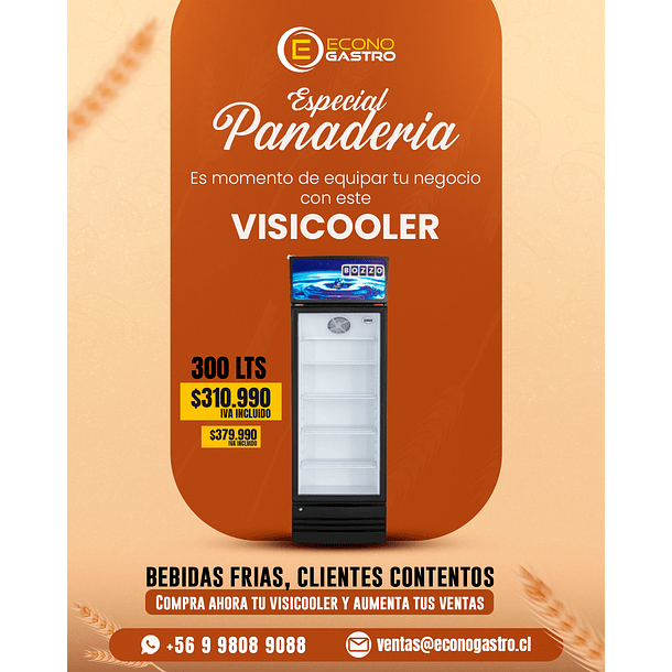 Visicooler 260 Litros Bozzo