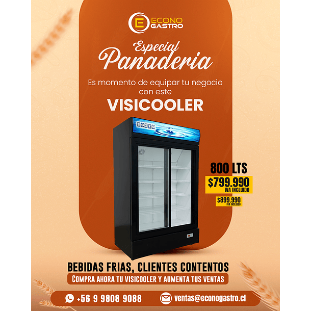 Visicooler Doble Puerta Deslizable 800Lts Bozzo
