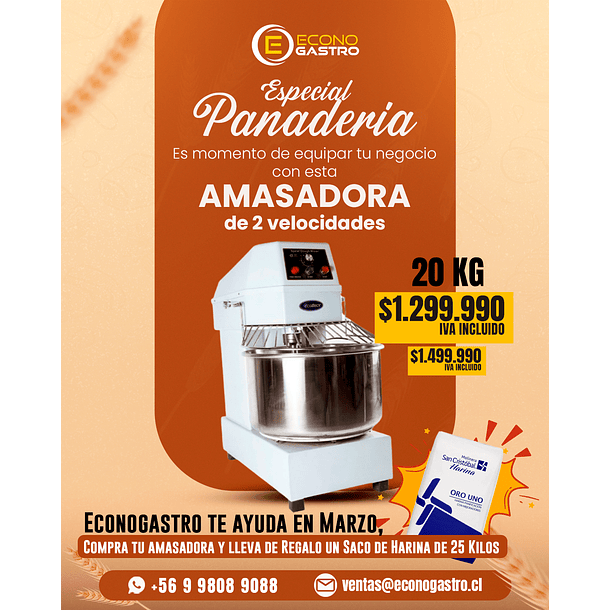 Amasadora Ecobeck 20 Kilos  2 Velocidades