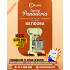 Batidora 10L MAIGAS 1