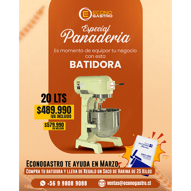 Batidora 20 Lts Maigas