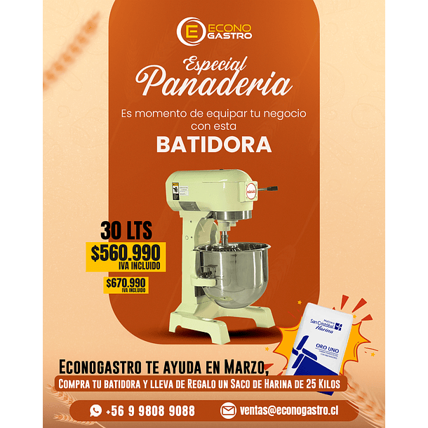 Batidora 30 Lts Maigas